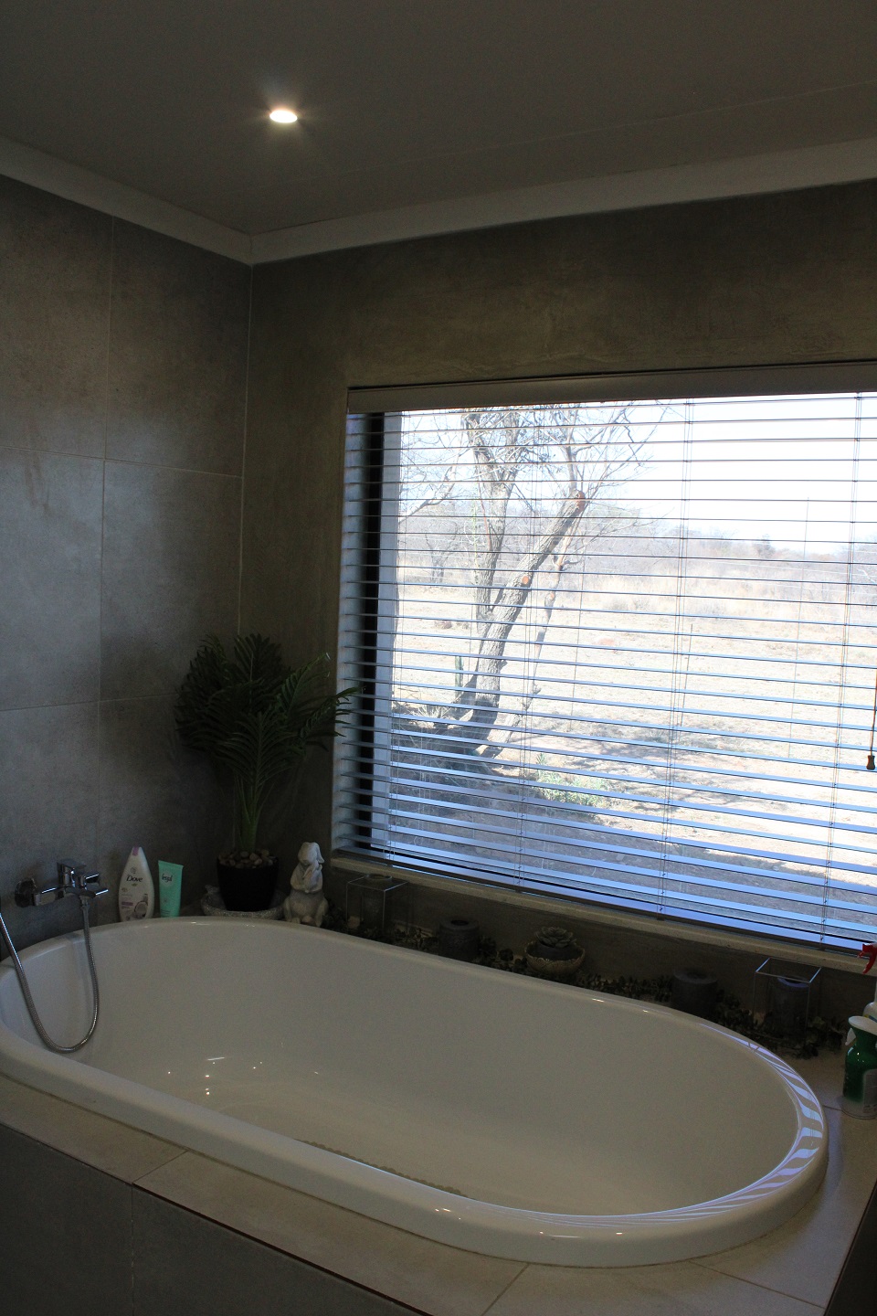 Bath with a view